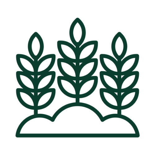 Agricultural and forestry biomass going underutilized or burned