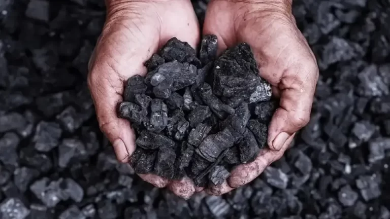 Biochar Production