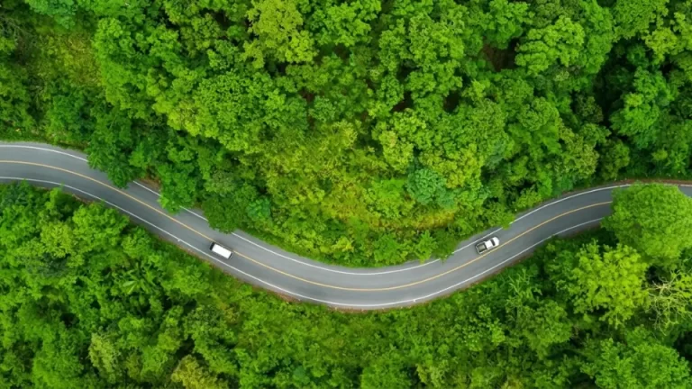 Voluntary Carbon market